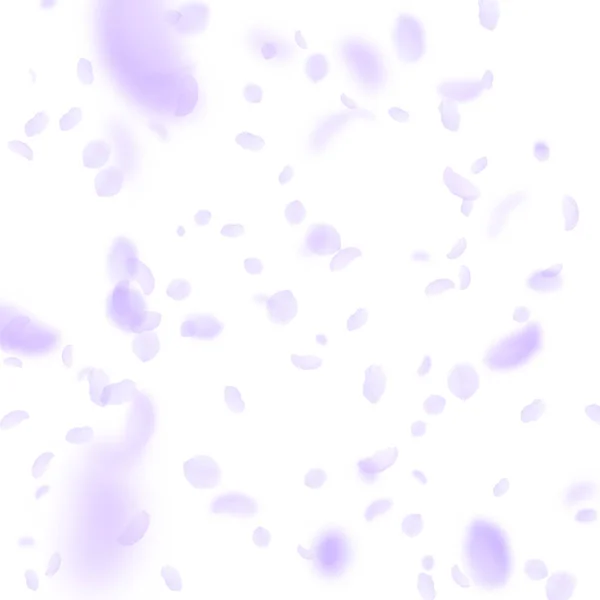 Des pétales de fleurs violettes tombent. Idéal romantique — Image vectorielle