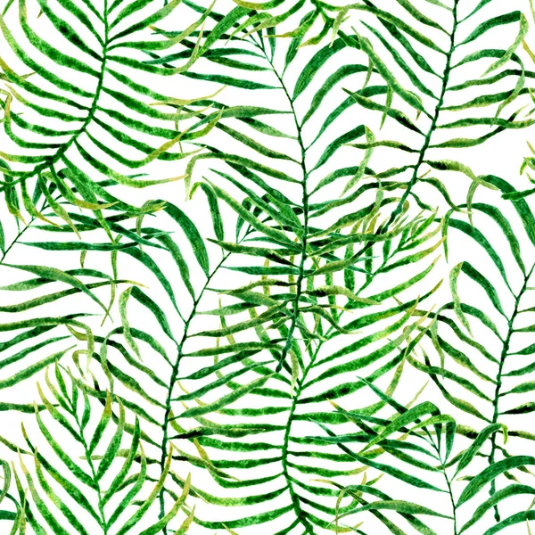 Tropikal seamless modeli. Sulu boya karışık palm