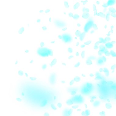 Turkuaz çiçek yaprakları aşağı düşen. Benzersiz Roma