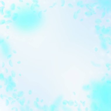 Turkuaz çiçek yaprakları dökülüyor. Hatırlanmaya değer ro