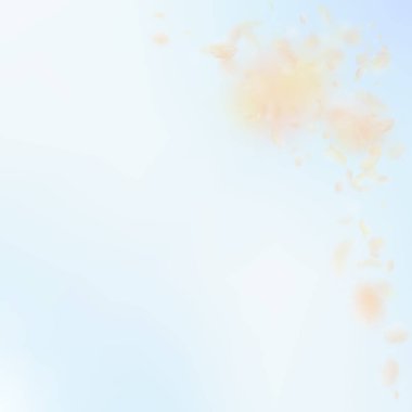 Sarı turuncu çiçek yaprakları dökülüyor. Kusursuz.