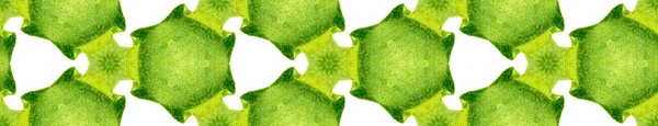 Grüne Feder nahtlose Rand blättern. geometrisches Wat — Stockfoto