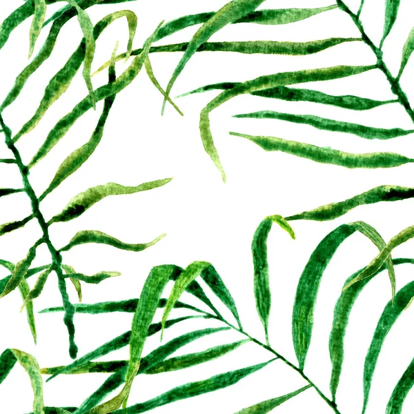 Tropikalny wzór. Akwarela, kołyszących się palm — Zdjęcie stockowe