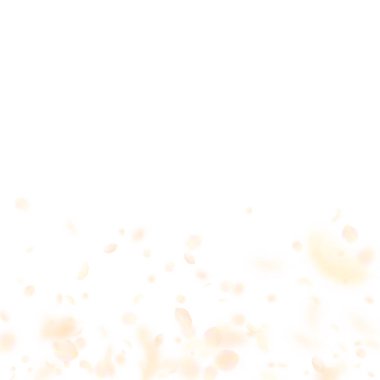 Sarı turuncu çiçek yaprakları dökülüyor. Manyetik