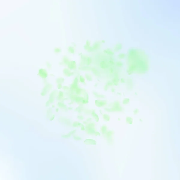 Gröna blomblad faller ner. Bländande romantik — Stock vektor