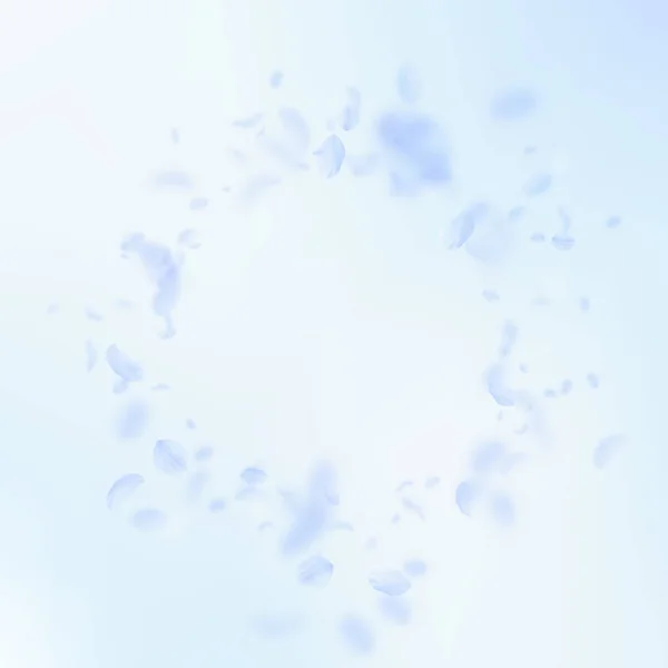 Pétalos de flor azul claro cayendo. Maravilloso r — Archivo Imágenes Vectoriales