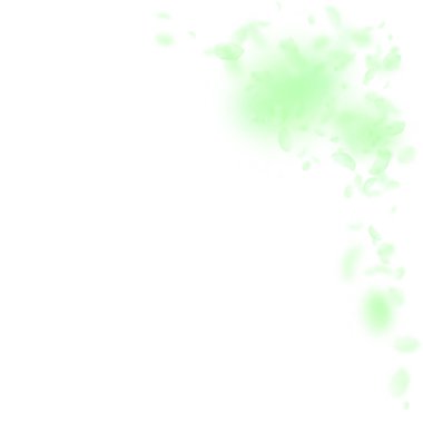 Yeşil çiçek yaprakları dökülüyor. Ekstra romantik...