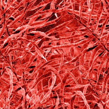 Egzotik, pürüzsüz desen. Kırmızı evren arkaplanı. 