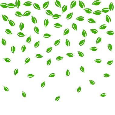 Düşen yeşil yapraklar. Taze çay rastgele yapraklar uçuşuyor