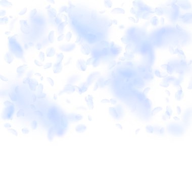 Açık mavi çiçek yaprakları dökülüyor. Büyüleyici.