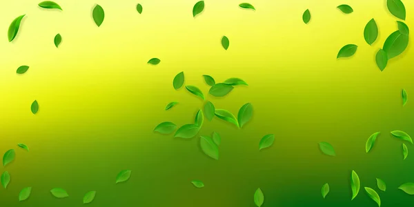 Падающие зеленые листья. Свежий чай хаотические листья летать — стоковый вектор