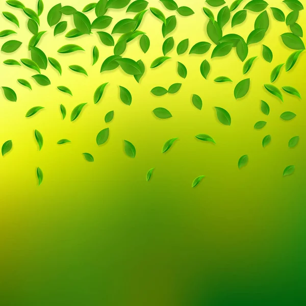 Folhas verdes a cair. Chá fresco caótico folhas voar — Vetor de Stock