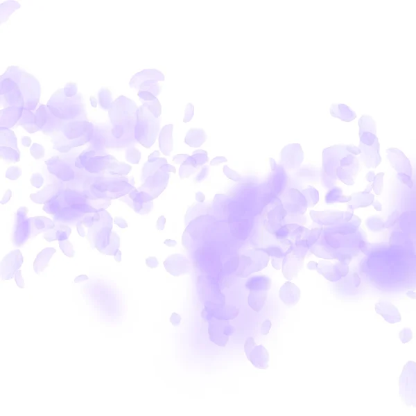 Pétalas de flores violetas a cair. Romance requintado — Vetor de Stock