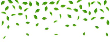 Düşen yeşil yapraklar. Taze çay rastgele yapraklar uçuşuyor