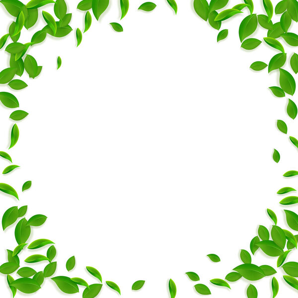 Falling green leaves. Fresh tea chaotic leaves fly