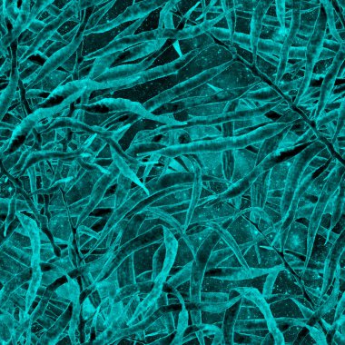 Egzotik, pürüzsüz desen. Turkuaz kozmik 