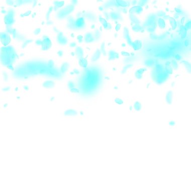 Turkuaz çiçek yaprakları dökülüyor. Göz kamaştırıcı rom.