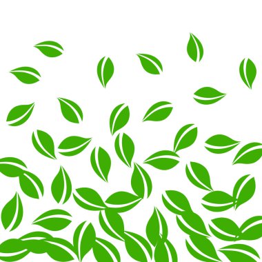 Düşen yeşil yapraklar. Taze çay, temiz yapraklar uçuşuyor.