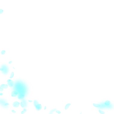 Turkuaz çiçek yaprakları dökülüyor. Şirin Romanti.