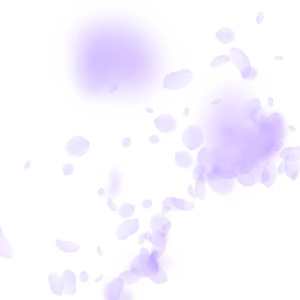 Des pétales de fleurs violettes tombent. audacieux romantique f — Image vectorielle