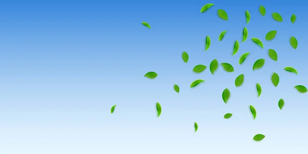 Hojas verdes cayendo. Té fresco hojas al azar flyi — Vector de stock