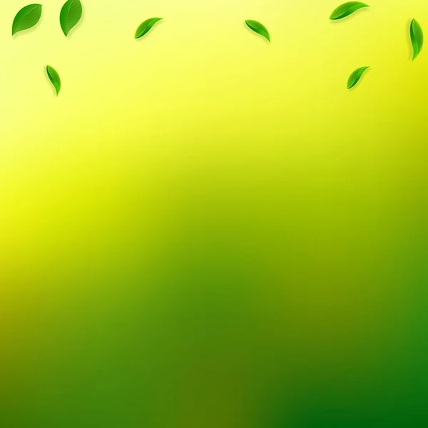Foglie verdi cadenti. Tè fresco foglie casuali flyi — Vettoriale Stock