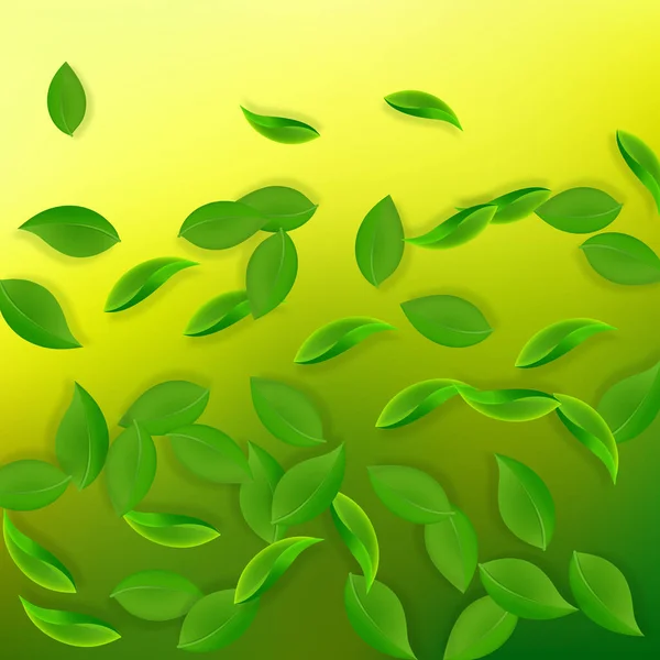 Düşen yeşil yapraklar. Taze çay, temiz yapraklar uçuşuyor. — Stok Vektör