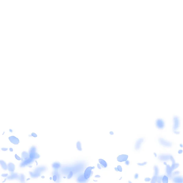 Donkerblauwe bloemblaadjes vallen naar beneden. Ongewoon roma — Stockvector