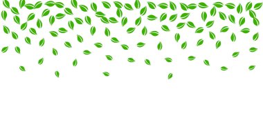 Düşen yeşil yapraklar. Taze çay rastgele yapraklar uçuşuyor