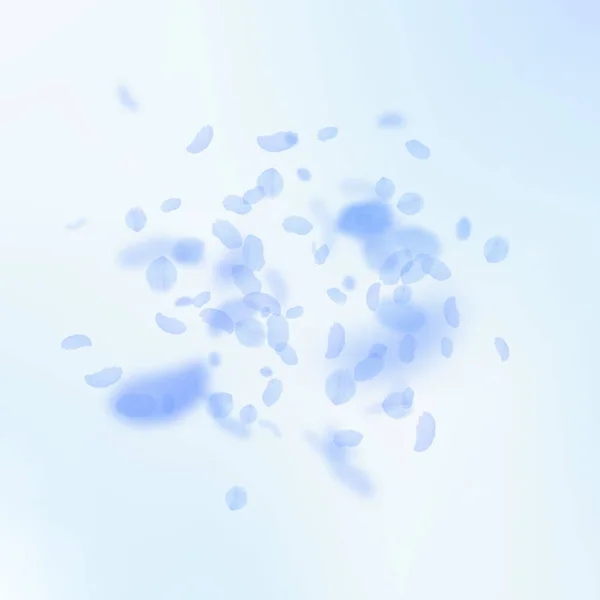 Pétales de fleurs bleu foncé tombant. Exquis ro — Image vectorielle