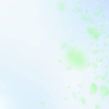 Yeşil çiçek yaprakları dökülüyor. Yaratıcı romanti