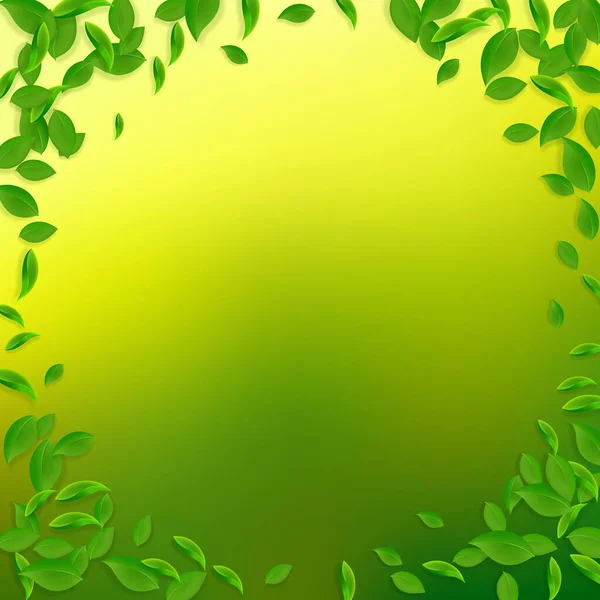 Падає зелене листя. Свіже чайне хаотичне листя муха — стоковий вектор