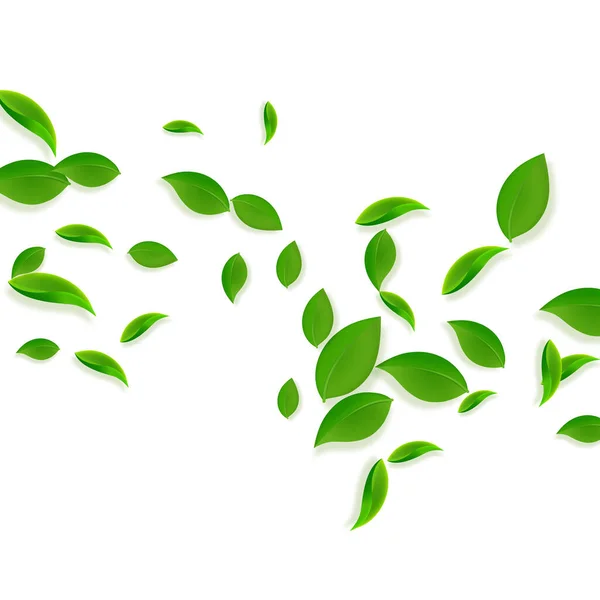 Zöldre hulló levelek. Friss tea kaotikus levelek repülnek — Stock Vector