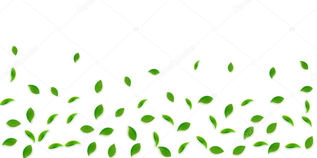 Falling green leaves. Fresh tea random leaves flyi