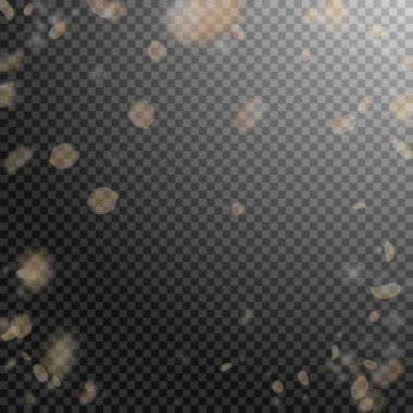 Sarı turuncu çiçek yaprakları dökülüyor. Tuhaf. 