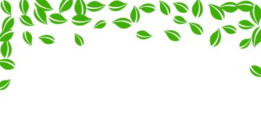 Düşen yeşil yapraklar. Taze çay, temiz yapraklar uçuşuyor.