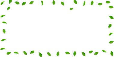 Düşen yeşil yapraklar. Taze çay rastgele yapraklar uçuşuyor