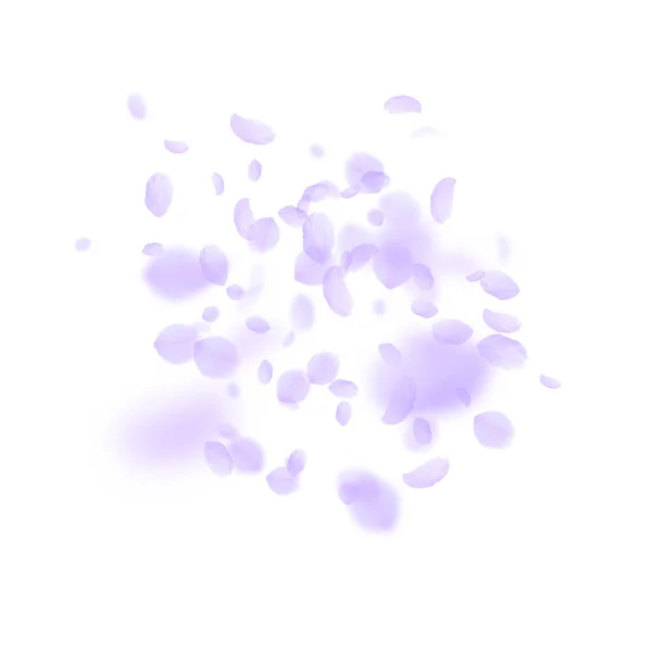Лепестки фиолетовых цветов падают. Позитивный роман — стоковый вектор