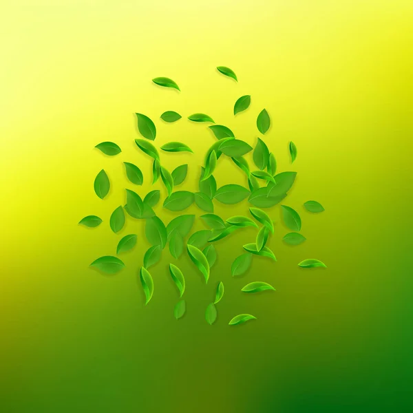 Feuilles vertes tombantes. Thé frais feuilles chaotiques mouche — Image vectorielle