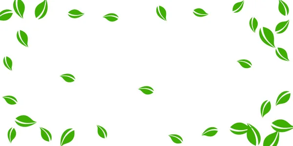 Foglie verdi cadenti. Tè fresco foglie ordinate volare — Vettoriale Stock