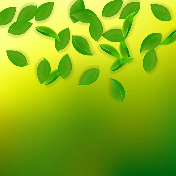 Zöldre hulló levelek. Friss tealevelek repülnek — Stock Vector