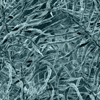 Tropik, pürüzsüz desen. Turkuaz kozmik 