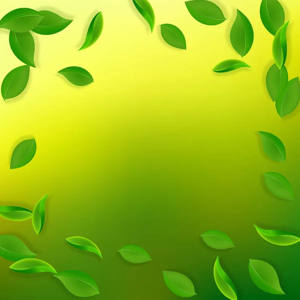 Падающие зеленые листья. Летают свежие листья чая — стоковый вектор