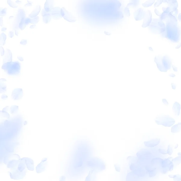 Pétales de fleurs bleu clair tombant. Beau romant — Image vectorielle