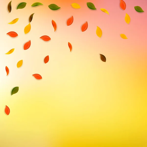 Hojas de otoño cayendo. Rojo, amarillo, verde, marrón r — Vector de stock