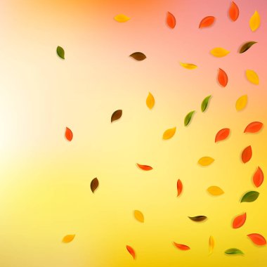 Sonbahar yaprakları dökülüyor. Kırmızı, sarı, yeşil, kahverengi...