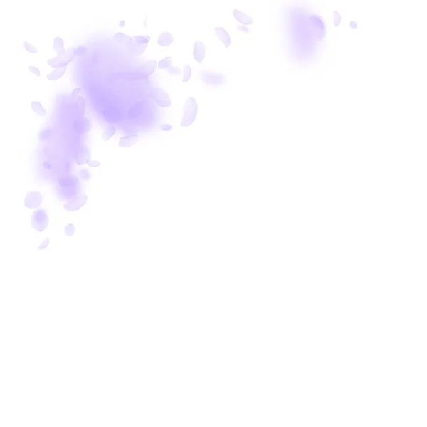 Pétalos de flores violetas cayendo. Romana favorable — Archivo Imágenes Vectoriales