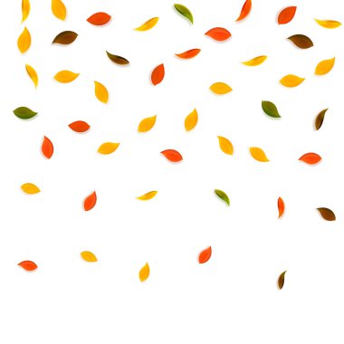 Sonbahar yaprakları dökülüyor. Kırmızı, sarı, yeşil, kahverengi...