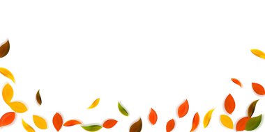 Sonbahar yaprakları dökülüyor. Kırmızı, sarı, yeşil, kahverengi