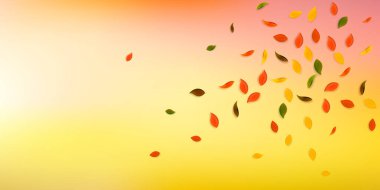 Sonbahar yaprakları dökülüyor. Kırmızı, sarı, yeşil, kahverengi...